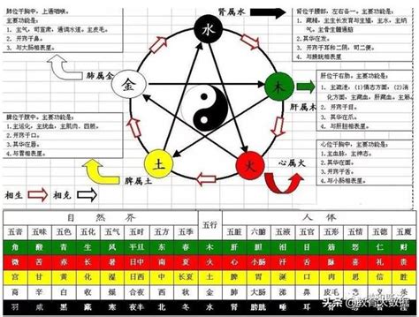 法律 五行|律历/干支/五行/五运六气都是怎么来的